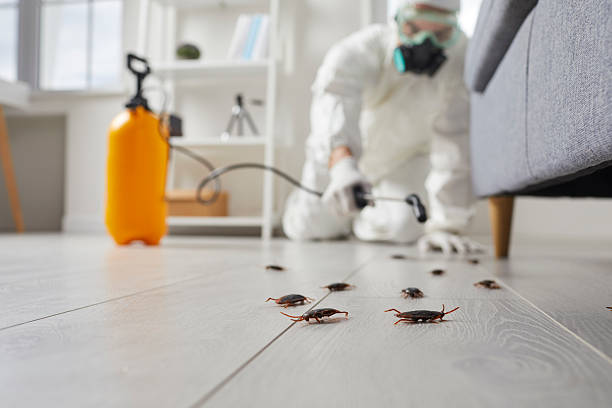 Trusted Cockroach Control service in Princeton Junction, NJ - Nex Pest Control