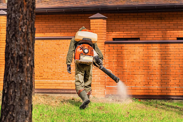 Trusted Ant Control service in Princeton Junction, NJ - Nex Pest Control